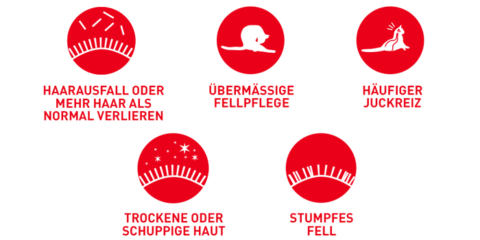 RoyalCanin_FCN_Hair-Skin_Care_Gravy_probleme.jpg