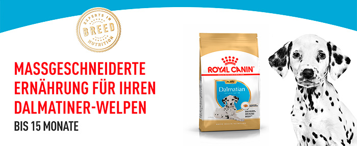 royal-canin-dalmatin-puppy-module-1.jpg