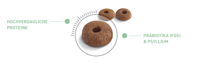 RoyalCanin_FCN_Digestive_Care_Dry_krokette.jpg