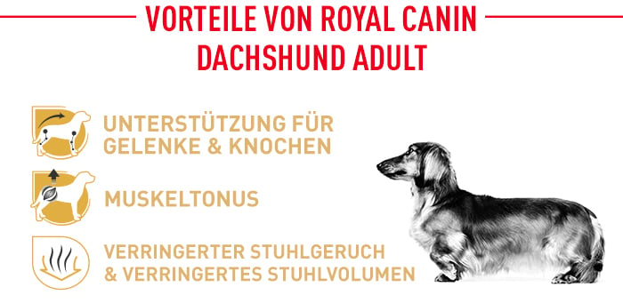 royal_canin_dachshund_vorteile.jpg
