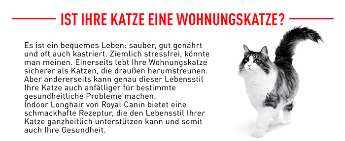 royal_canin_fhn_indoor_long_hair_wohnungskatze_web.jpg