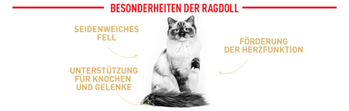 royal_canin_cat_adult_ragdoll_besonderheiten_web_2.jpg