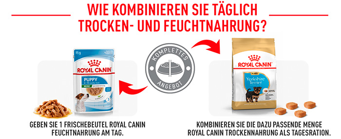 royal-canin-yorkshire-puppy-module-6.jpg