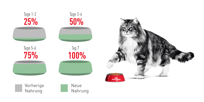 RoyalCanin_FCN_Digestive_Care_Gravy_umstellung.jpg