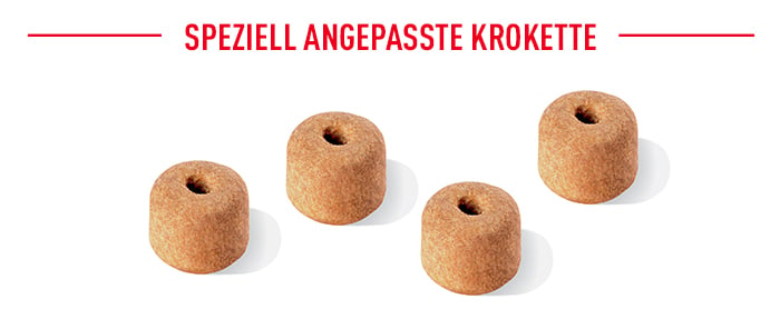 royal_canin_labrador_retriever_ageing_speziell_angepasste_krokette.jpg