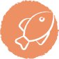SalmonOil_Kitten_Salmon_RGB.png