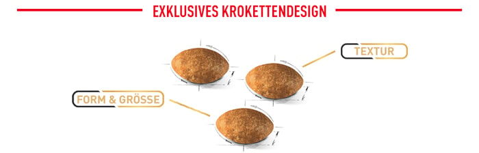 royal_canin_adult_persian_cat_exklusives_krokettendesign_web_2.jpg