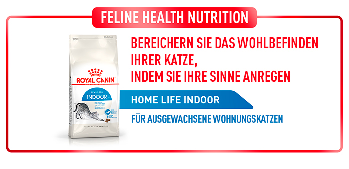royal_canin_katze_fhn_indoor_trockenfutter_home_life_indoor_web.jpg