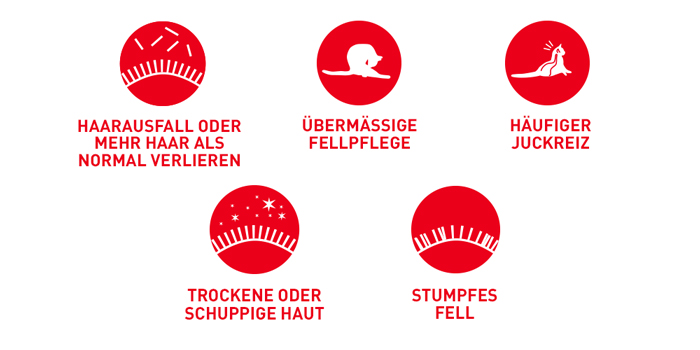 RoyalCanin_FCN_Hair-Skin_Care_Loaf_probleme.jpg