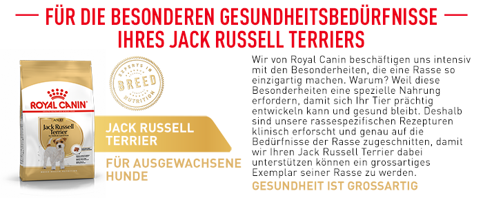RoyalCanin_BHN_Jack_Russell_besondere_beduerfnisse.png