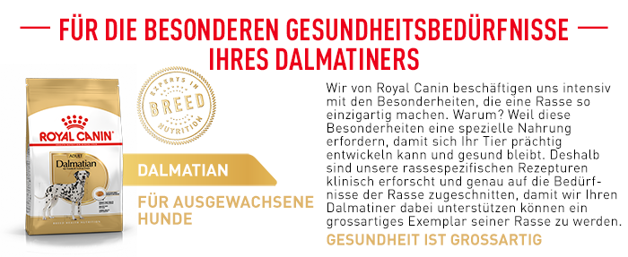 RoyalCanin_BHN_Dalmatian_besondere_beduerfnisse.png