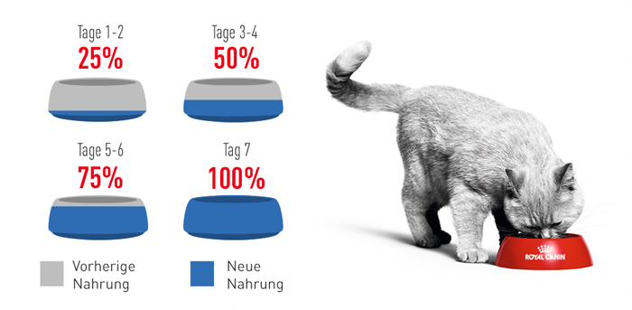 RoyalCanin_FCN_Light_Weight_Care_Jelly_umstellung.jpg