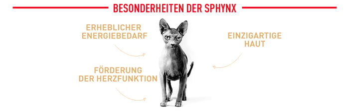 royal_canin_cat_adult_sphynxl_besonderheiten_web_2.jpg