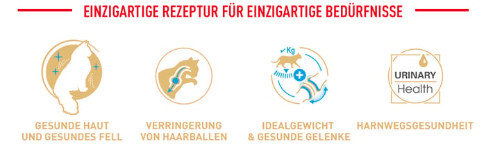 royal_canin_adult_norwegian_forest_cateinzigartige_rezeptur_web_2.jpg