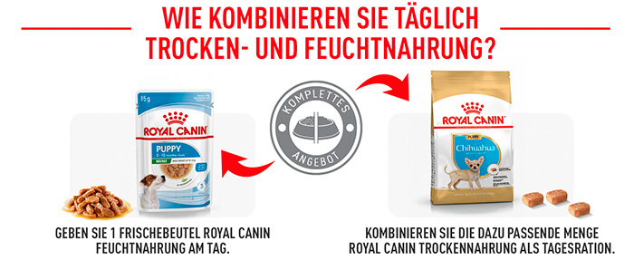 royal-canin-chihuahua-puppy-module-6.jpg