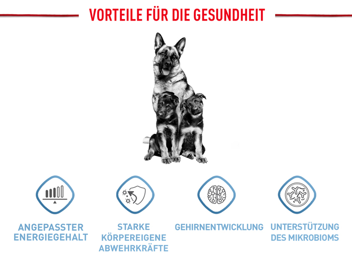 royal_canin_shn_hund_maxi_puppy_vorteile_web.jpg