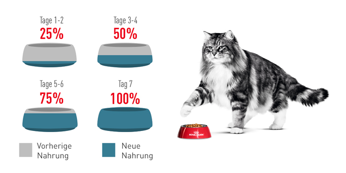 RoyalCanin_FCN_Hairball_Care_Gravy_umstellung.jpg