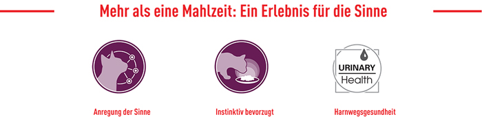 royal_canin_fhn_sensory_wet_nass_multipack_ein_erlebnis_fuer_die_sinne_web.jpg