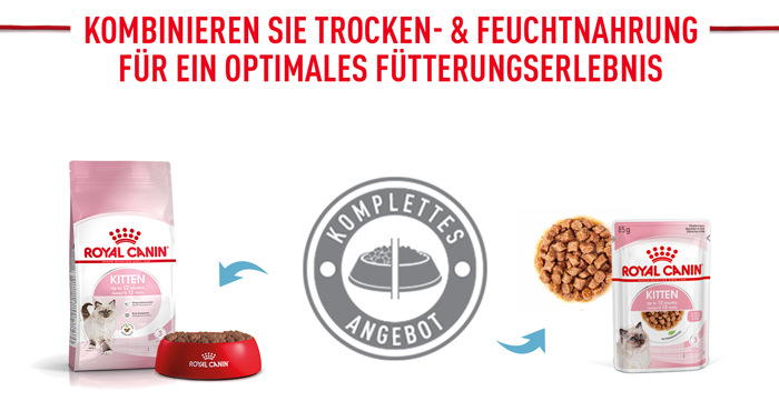 royal_canin_start_of_life_kitten_trockenfutter_mischfuetterung_web.jpg