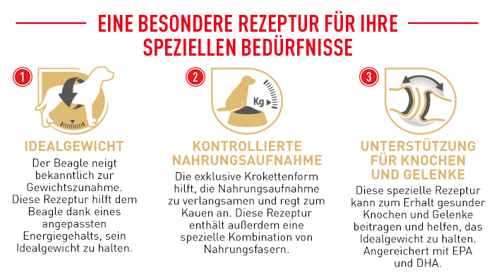 RoyalCanin_BHN_Beagle_Adult_rezeptur.png