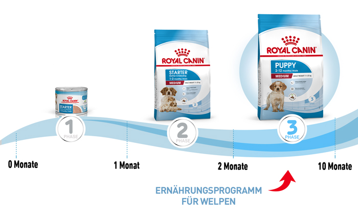royal_canin_shn_hund_medium_puppy_ernaehrungsprogramm_web.jpg