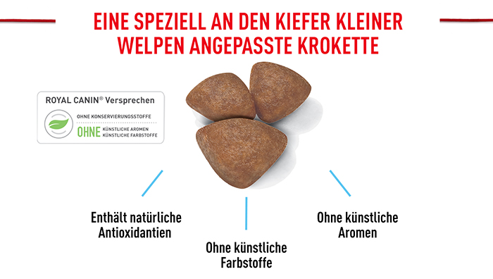 royal_canin_shn_hund_mini_puppy_angepasste_kroketten_web.jpg