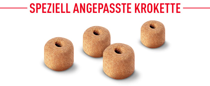 royal_canin_labrador_retriever_adult_speziell_angepasste_krokette.jpg