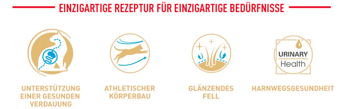 royal_canin_cat_adult_bengal_einzigartige_rezeptur_web_2.jpg