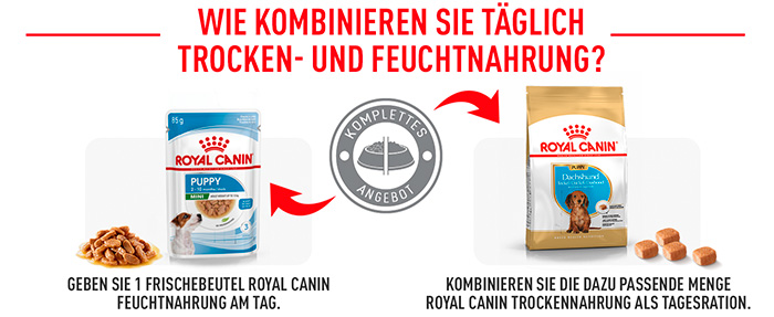 royal-canin-dachshund-puppy-module-6.jpg