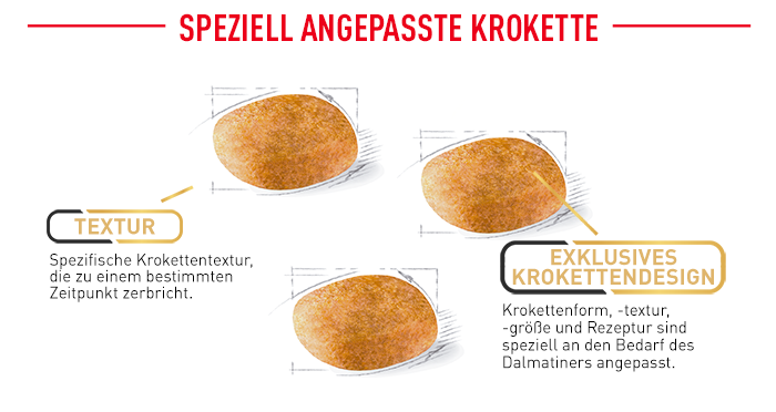 RoyalCanin_BHN_Dalmatian_angepasste_krokette.png