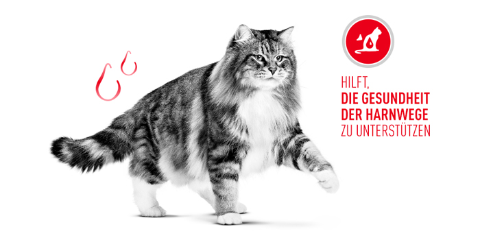 RoyalCanin_FCN_Urinary_Care_Jelly_gesunde_harnwege.jpg