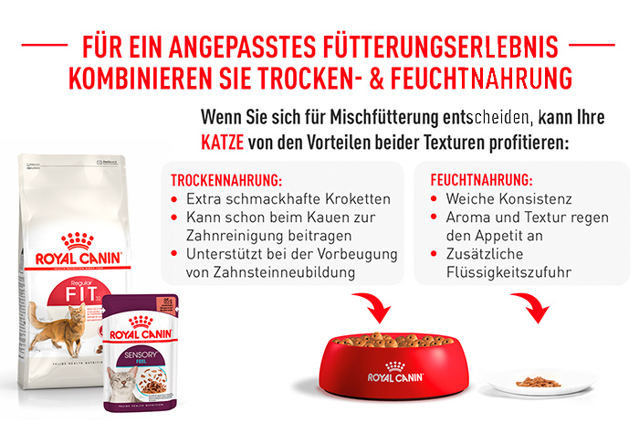 royal_canin_fhn_fit_32_kombination_trocken_feucht_web.jpg