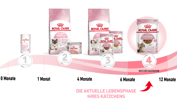 royal_canin_fhn_kitten_sterilised_lebensphase_web.jpg