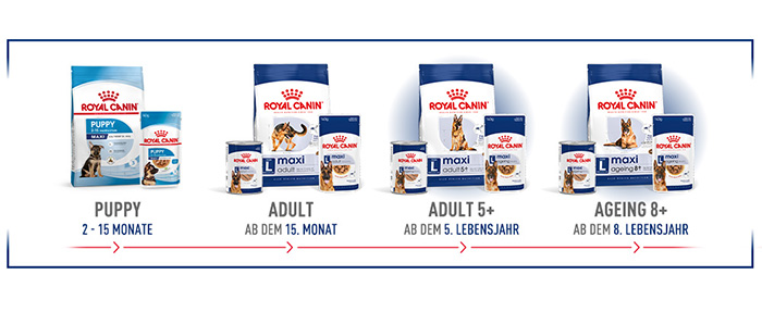 shn-maxi-ageing-wet-loaf-de-module-4.jpg