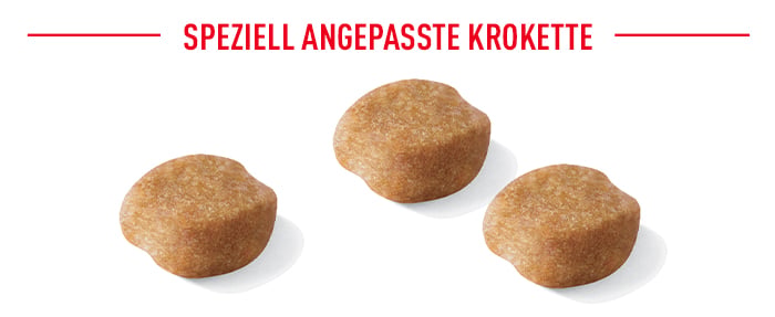 royal_canin_yorkshire_terrier_ageing_speziell_angepasste_krokette.jpg