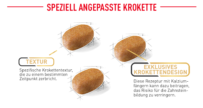 RoyalCanin_BHN_Malteser_angepasste_krokette.png