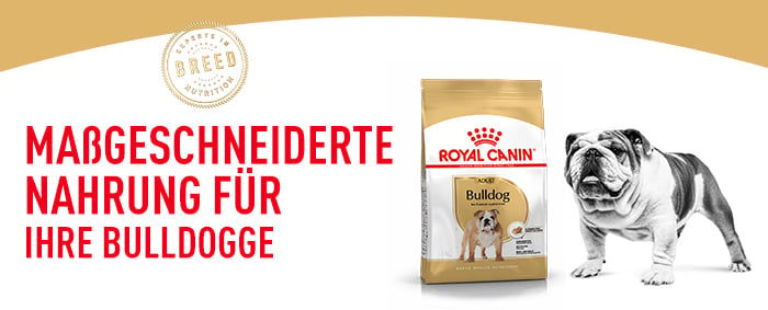 royal_canin_bulldog_adult_massgeschneiderte_nahrung.jpg