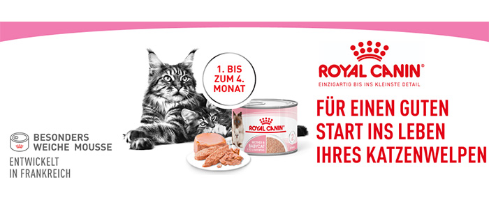 mother-and-babycat-mousse-1.jpg