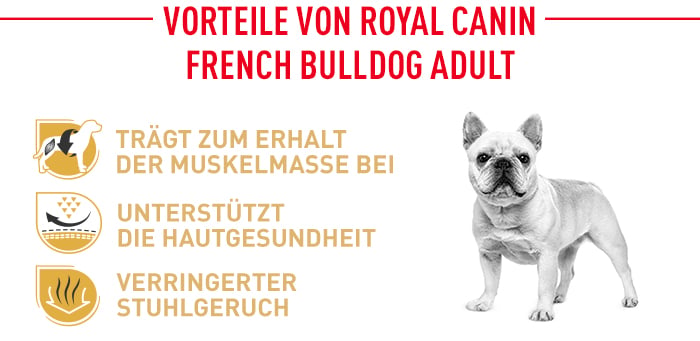 royal_canin_french_bulldog_adult_vorteile.jpg