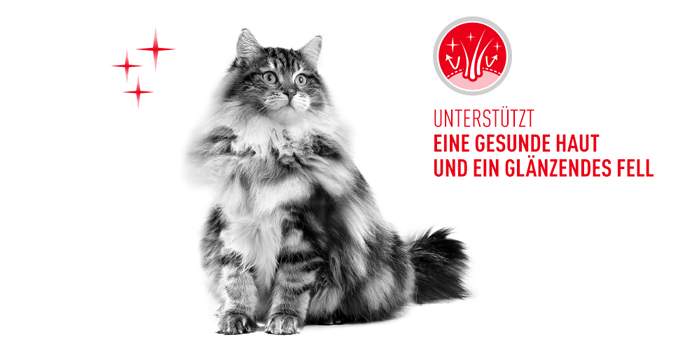 RoyalCanin_FCN_Hair-Skin_Care_Loaf_haut_und_fell.jpg