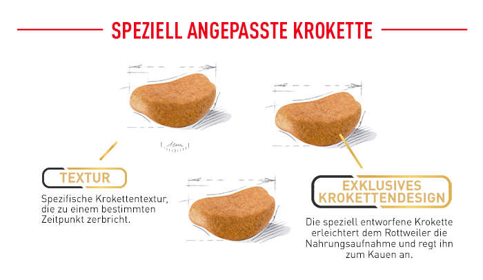 RoyalCanin_BHN_Rottweiler_angepasste_krokette.png