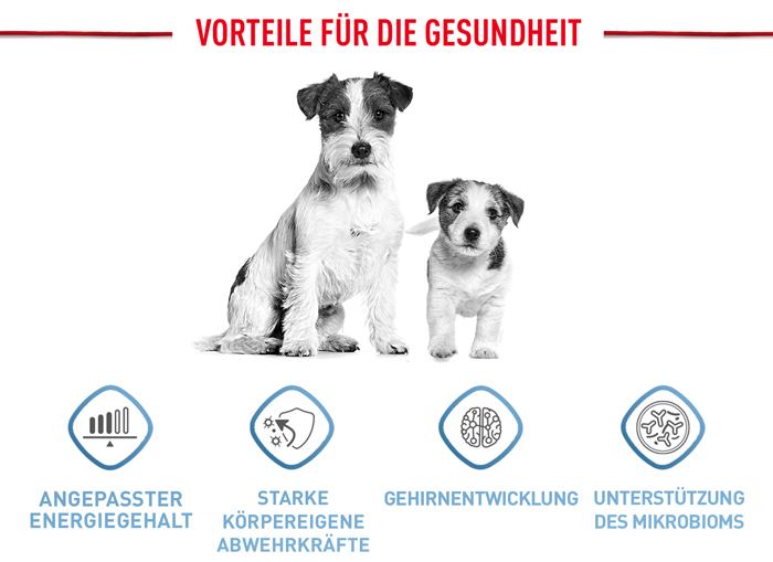 royal_canin_shn_hund_mini_puppy_vorteile_web.jpg