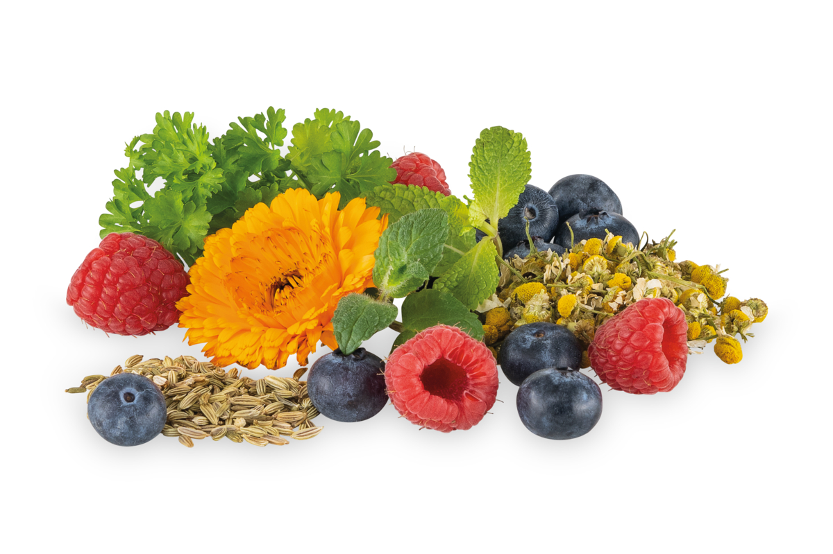 herbs-fruits.jpg