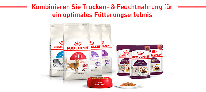 royal_canin_fhn_sensory_wet_feel_nass_jelly_gelee_mischfuetterung_web.jpg