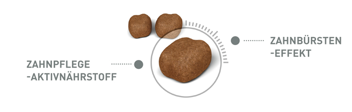 RoyalCanin_FCN_Dental_Care_Dry_krokette.jpg