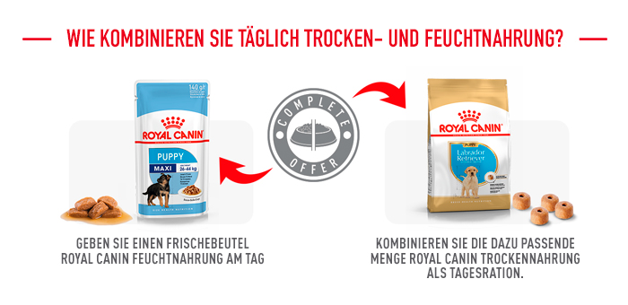 royal-canin_bhn_labrador_puppy_kombination_trocken_nass_web.jpg