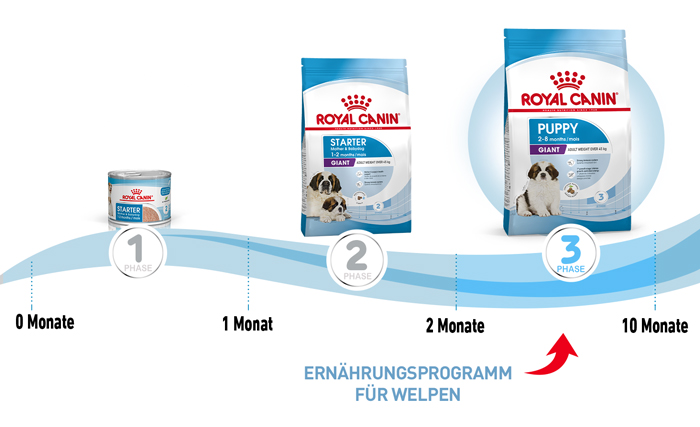 royal_canin_hund_giant_puppy_ernaehrungsprogramm_web.jpg