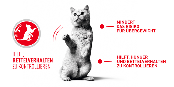 RoyalCanin_FCN_Appetite_Control_Care_Dry_hilft.jpg