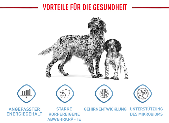 royal_canin_shn_hund_medium_puppy_vorteile_web.jpg
