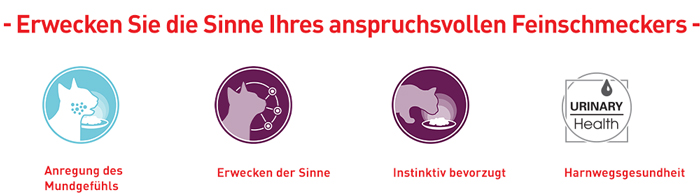 royal_canin_fhn_sensory_wet_feel_nass_jelly_gelee_anspruchsvolle_feinschmecker_web.jpg